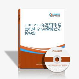 2015-2020年互聯網+路面機械市場運營模式研究咨詢